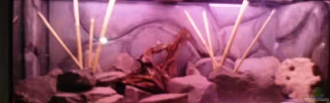 Becken 14469 von Jonas Gerstlauer