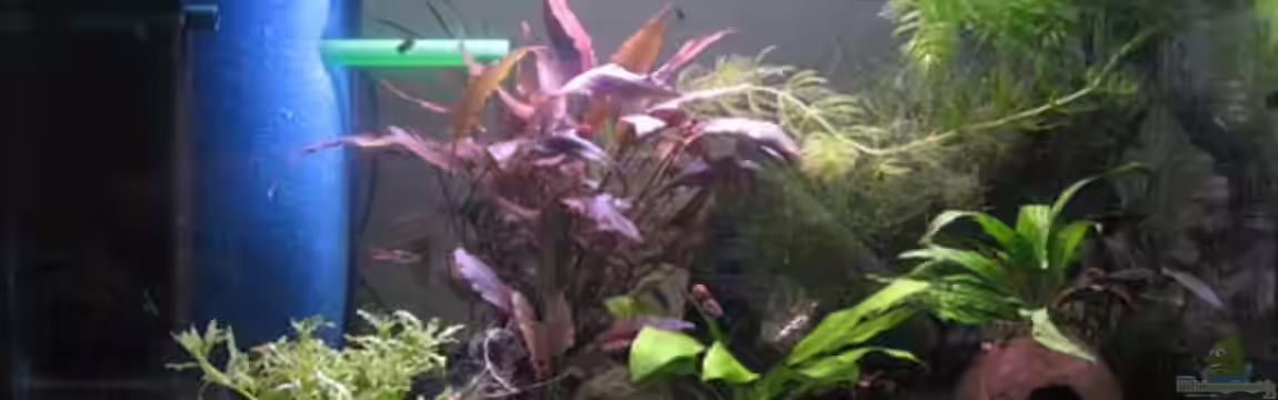 Becken 14517 von julian2010