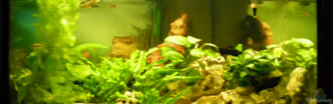 Becken 14522 von Andreas Kärrner