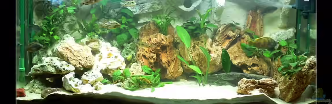 Becken 1466 von Heiko Betz