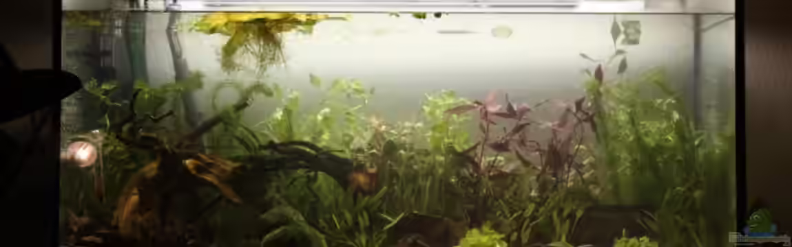 Becken 14698 von Ronny Wagner