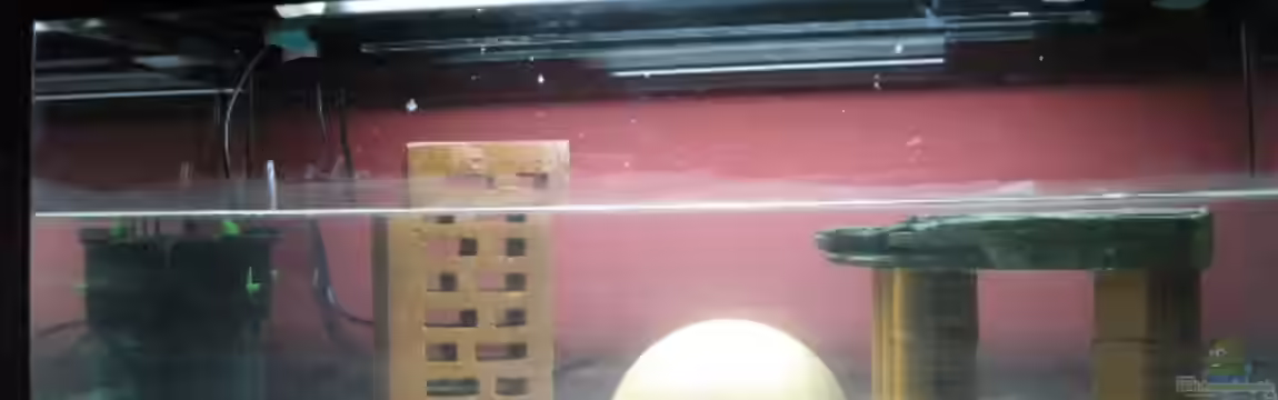 Becken 14706 von Amphibienhalterin