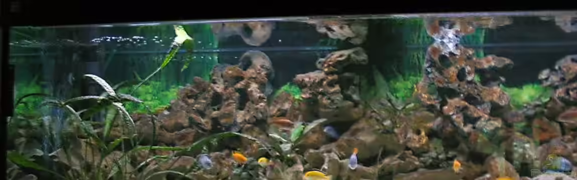 Becken 1472 von Thomas Bauer