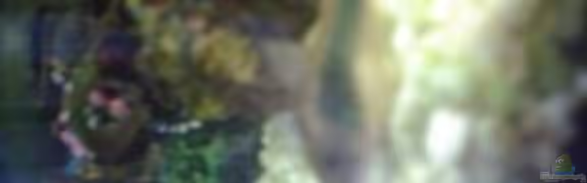 Becken 14782 von Felix Braune