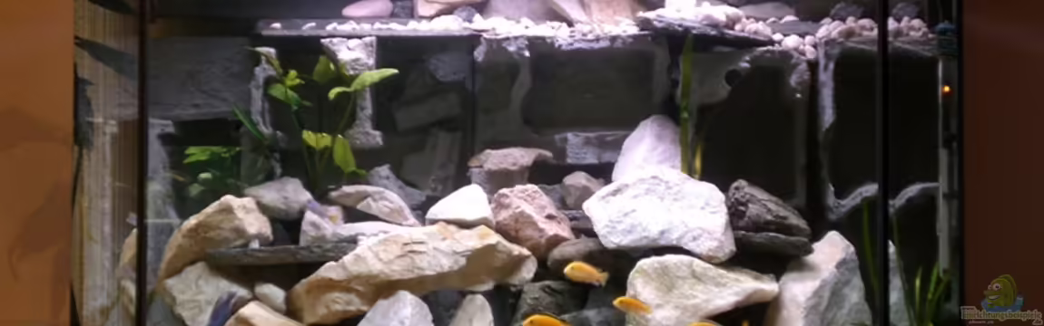 Becken 14812 von Ingo Pöck