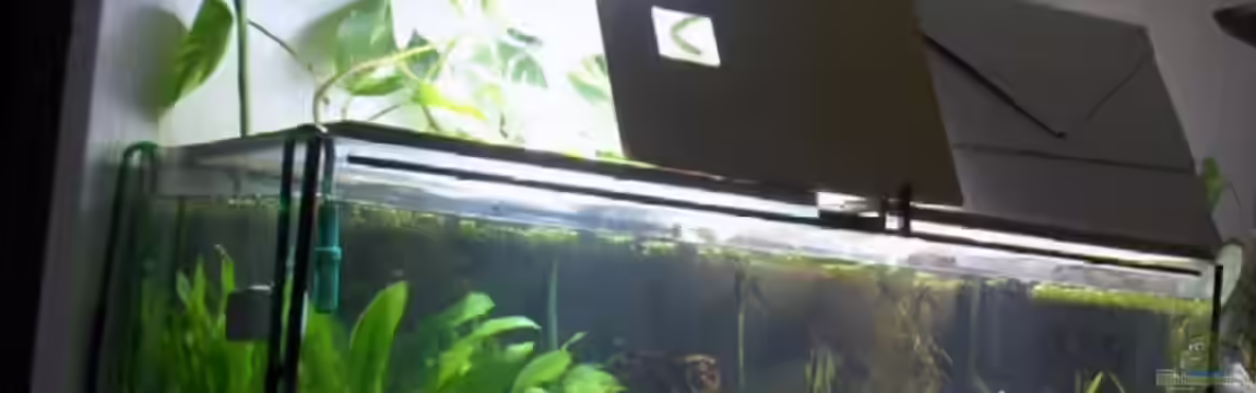 Becken 1483 von Marco Meyer