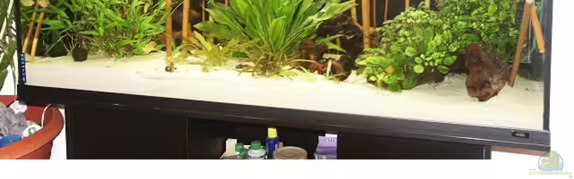 Becken 1485 von Vanessa Kopf und Sebastian Krauß