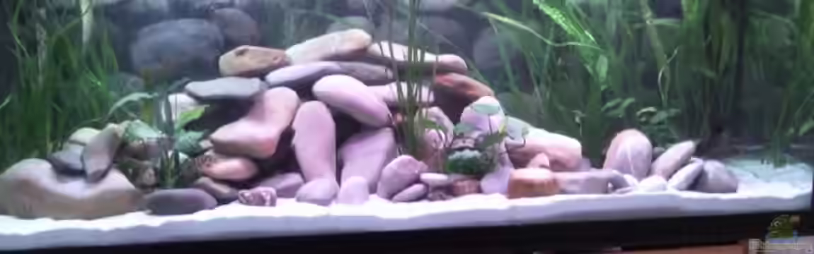 Becken 14883 von Michael 123