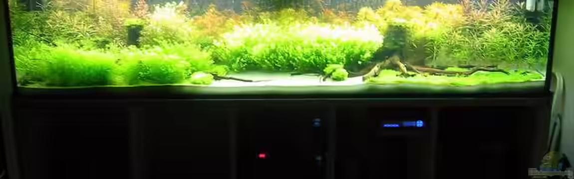 Becken 1489 von Frank Joseph