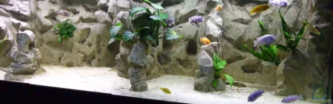 Becken 14927 von Joopde