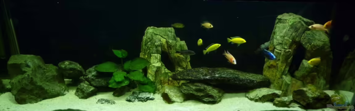 Becken 14994 von malawimimi