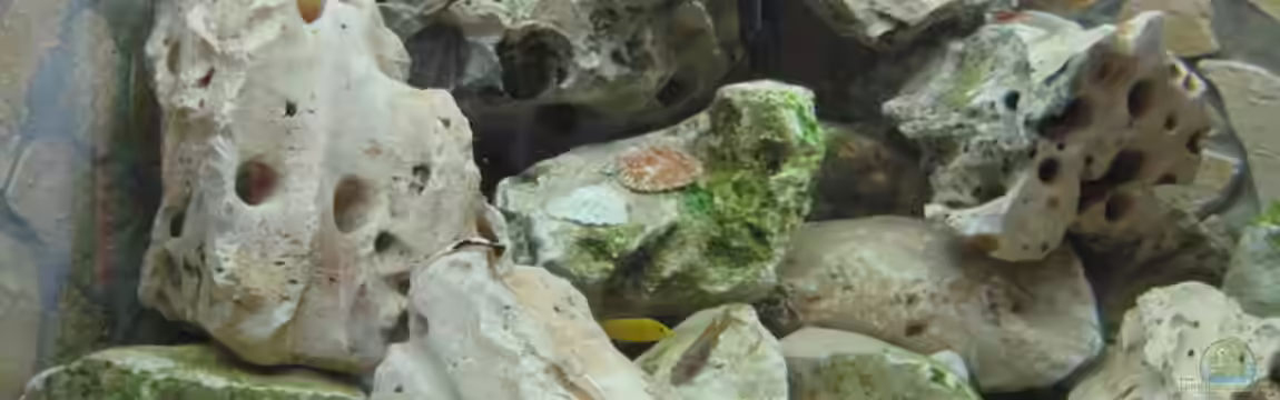 Becken 1510 von Andreas Husemann