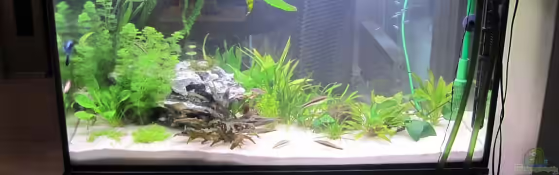 Becken 15114 von KleinUndKräftig