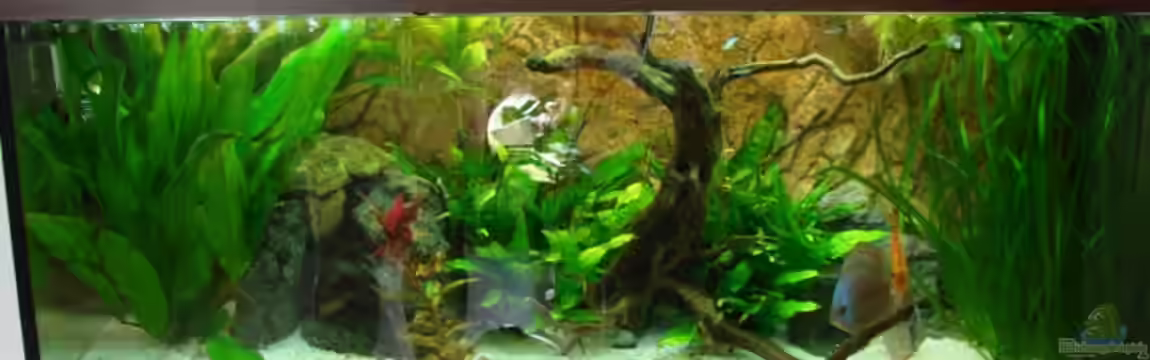 Becken 15267 von Chris85