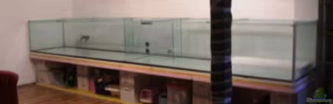 Becken 15324 von Zornrocco