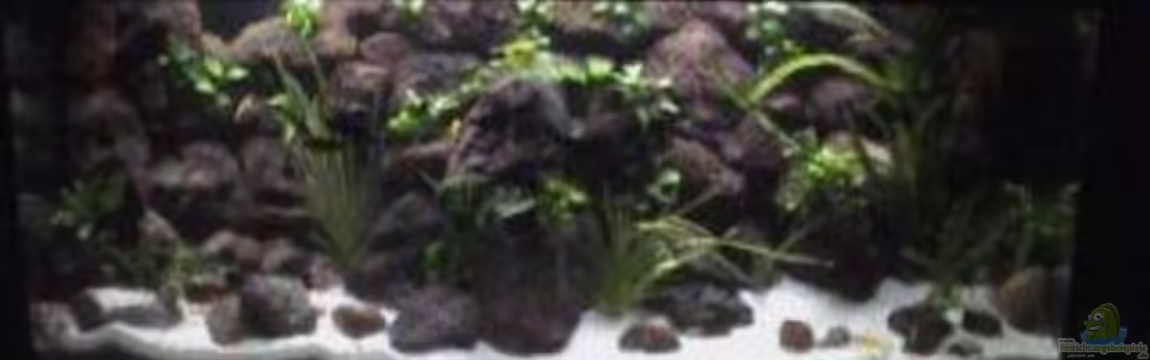 Becken 1534 von Martin Grimm