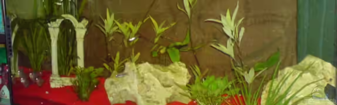 Becken 15343 von Rudi09