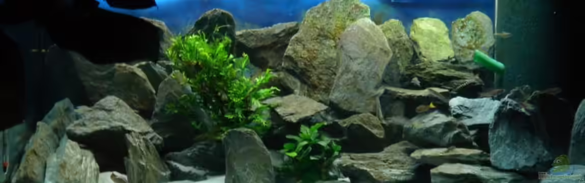 Becken 15583 von Traenenreiter