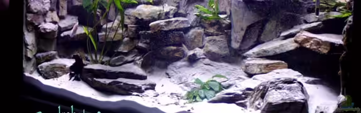 Becken 1560 von Michael Rückauf