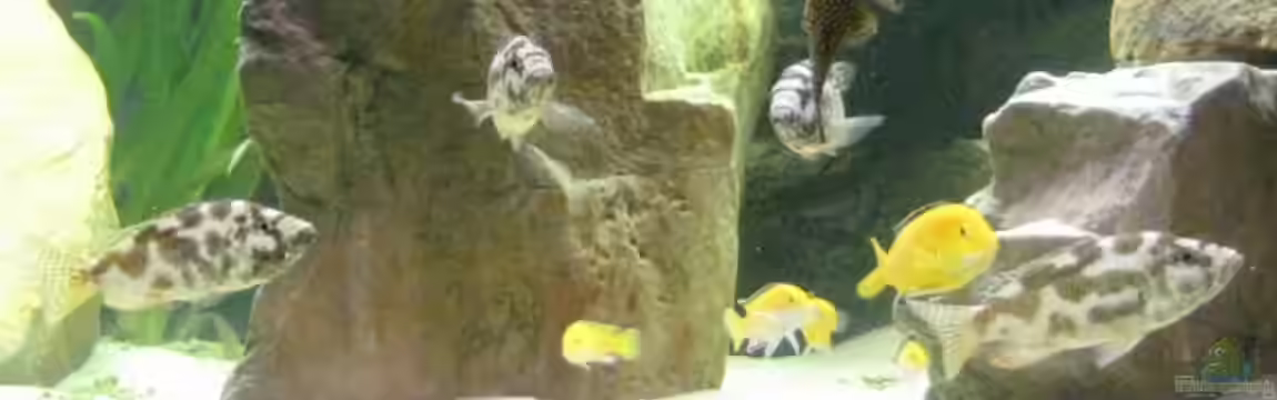 Becken 15694 von Sebastian Kühne