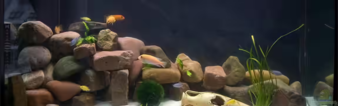 Becken 15732 von maniK