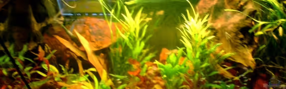 Becken 15826 von -=Diskus-Fan=-