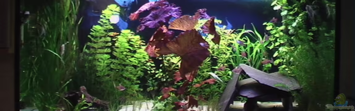 Becken 1592 von Marcus Heiser