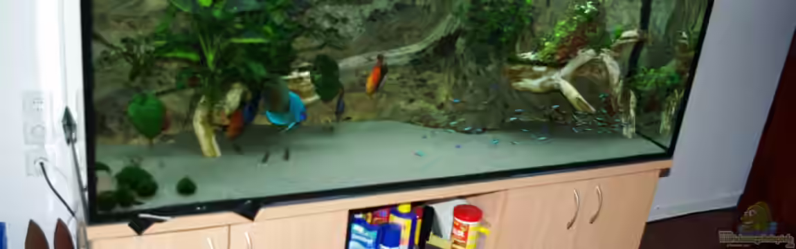 Becken 16017 von Jens Beier