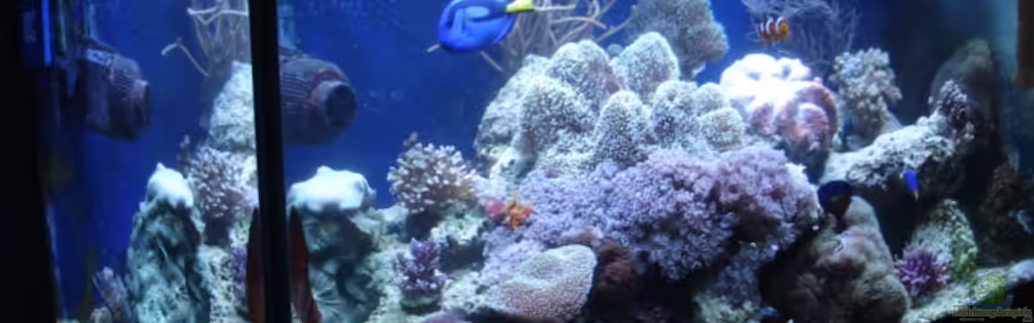 Becken 1604 von Axel Hierholzer