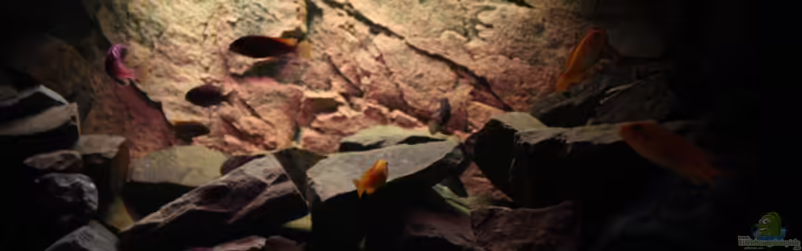 Becken 16059 von MuBu