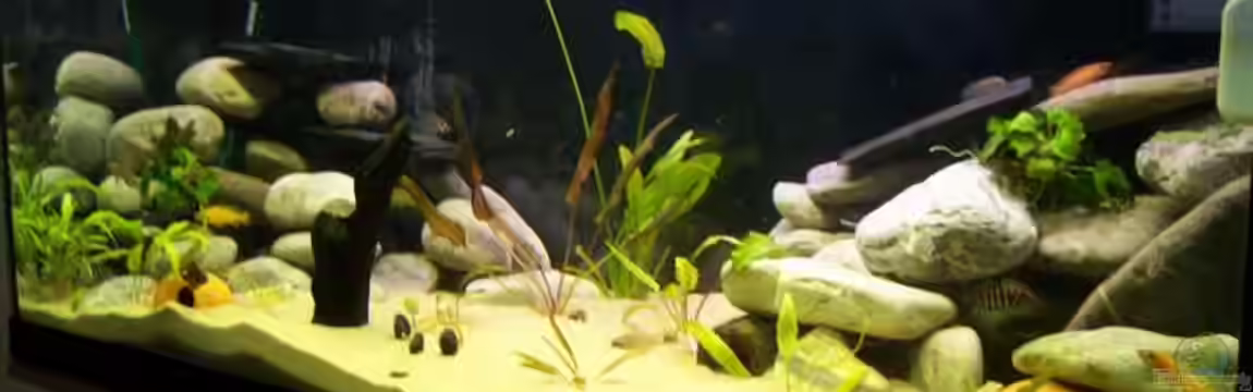 Becken 1618 von Gerrit Goldner