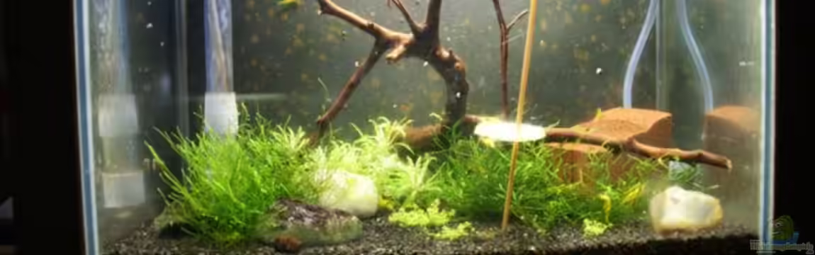 Becken 16189 von Paul123