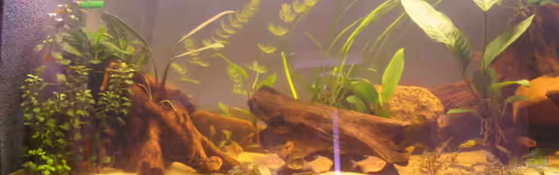 Becken 1625 von Markus Hutterer