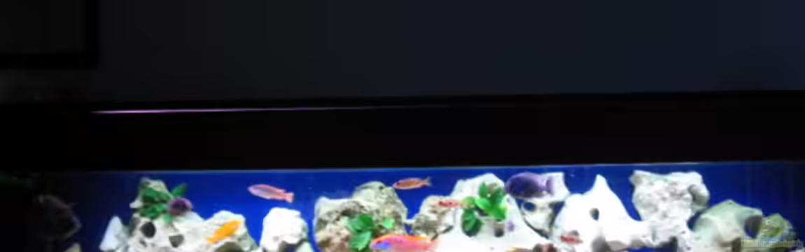 Becken 1633 von Daniel Fust