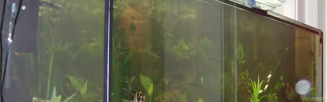 Becken 16345 von sandmann73