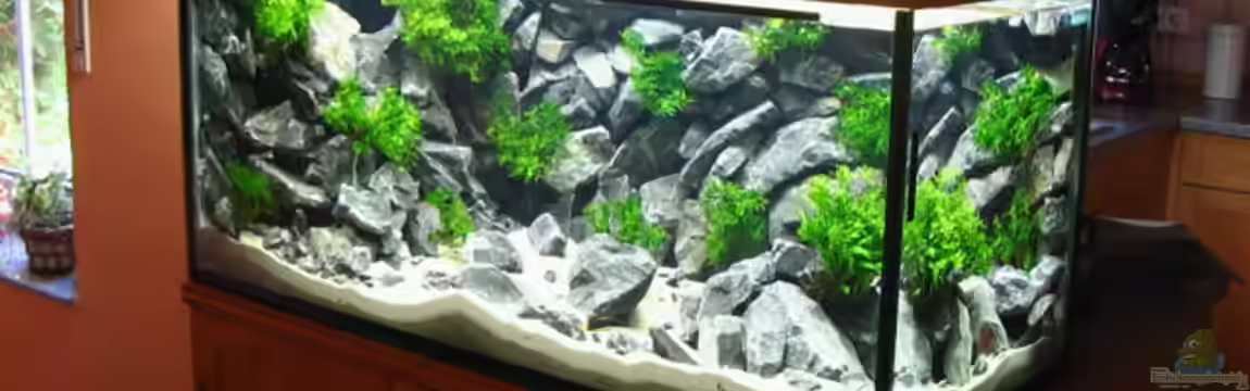 Becken 1640 von Klaus Kussmann