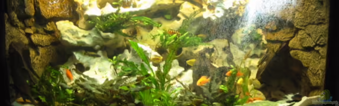 Becken 1648 von Kai Kielczynski