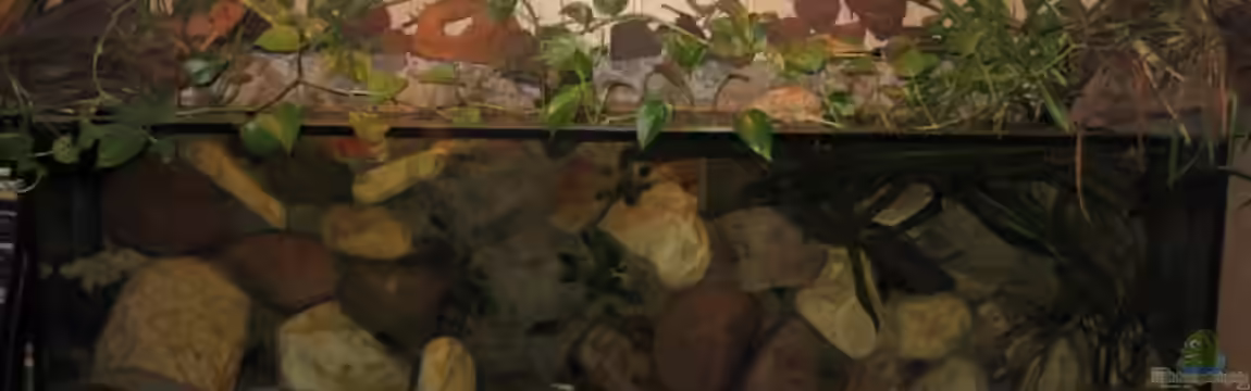 Becken 1650 von Björn Bönsch