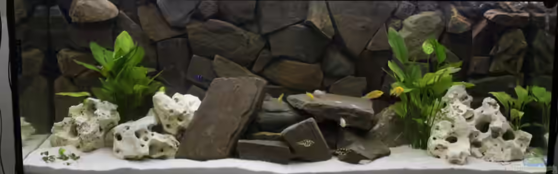 Becken 16766 von De_Andyman