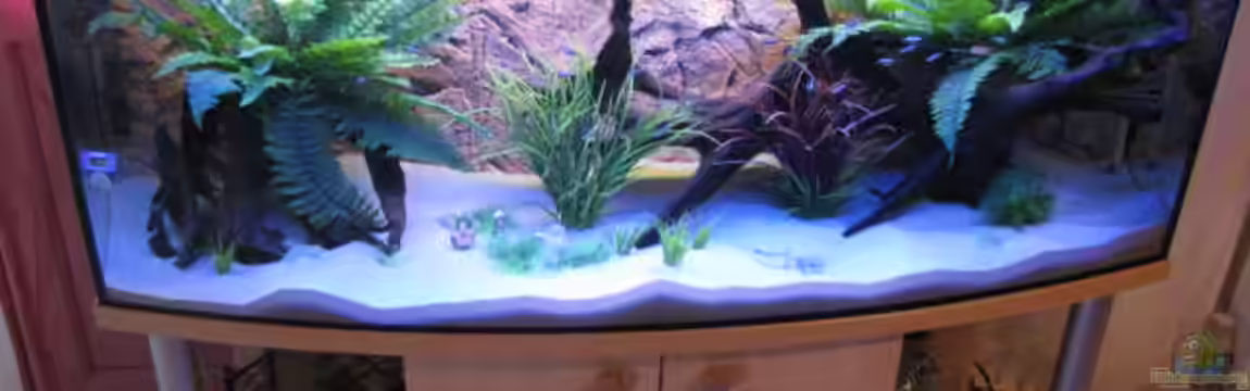 Becken 16956 von Frank Heyssler