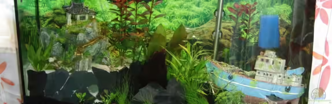 Becken 17019 - Ritas Wasserspiele von wonderfullworld