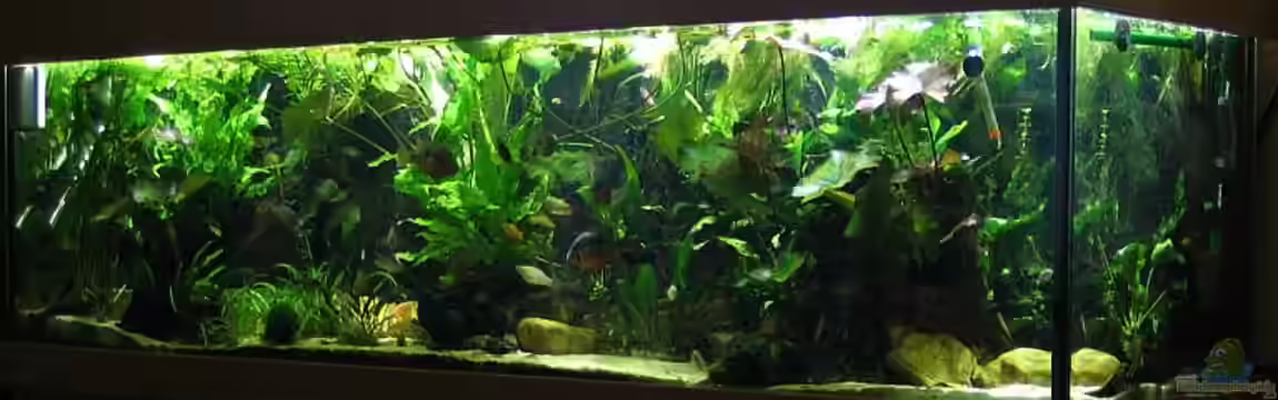 Becken 1710 von Claudia Müller