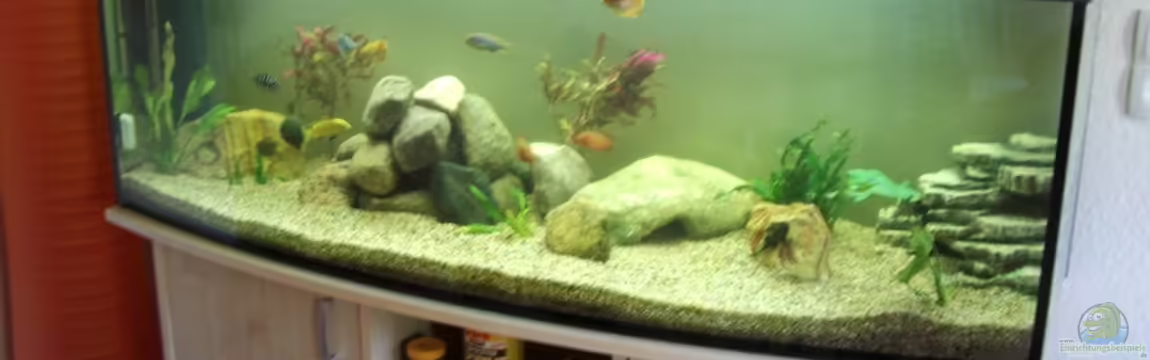 Becken 17115 von Mark M