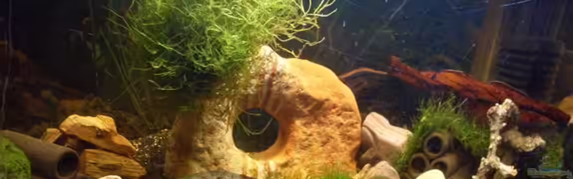 Becken 17299 von lichterschein