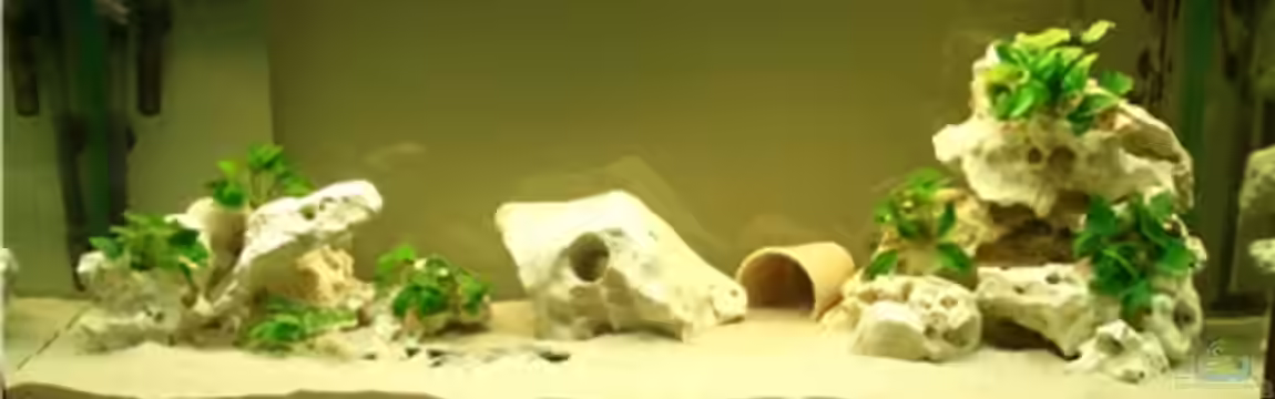 Becken 1742 von André Rautenberg