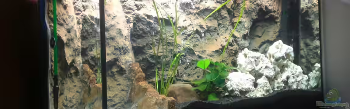 Becken 17446 von Alexandra Themessl