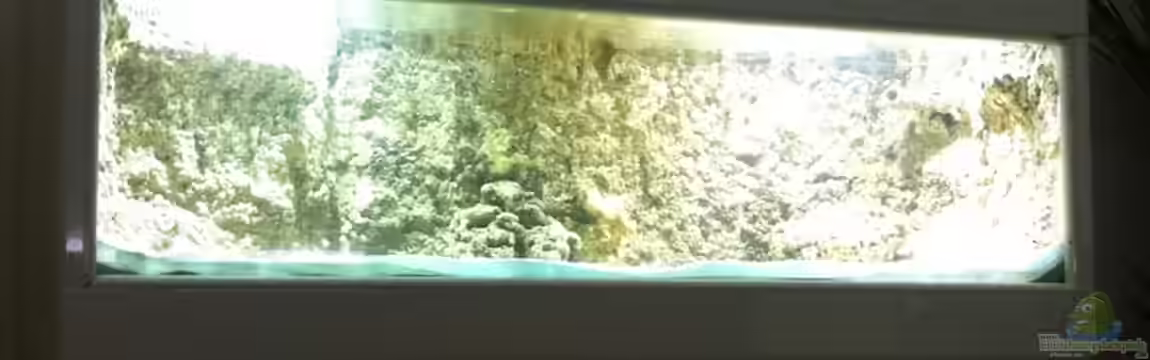 Becken 17453 von Thomas Schuster