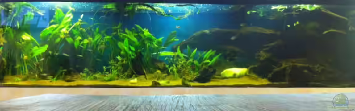 Becken 17461 von der Maxe