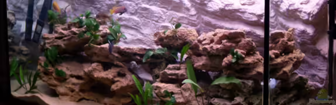 Becken 1748 von Steffen Kehle