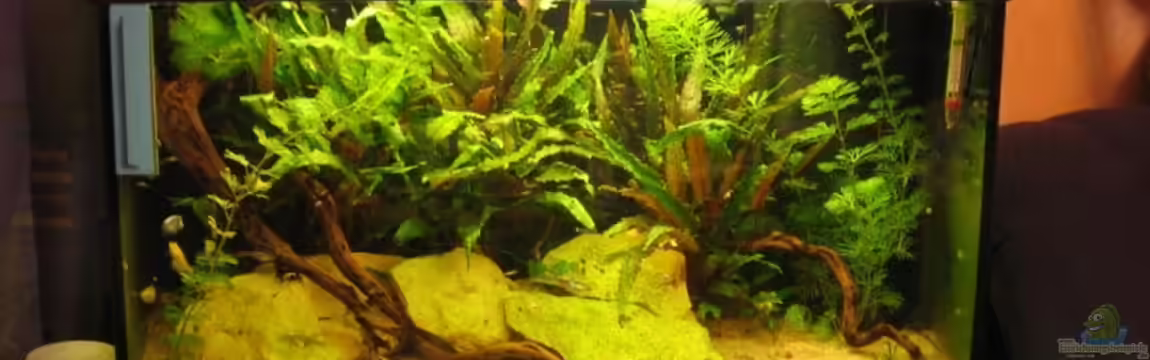 Becken 1751 von Thomas Schießl